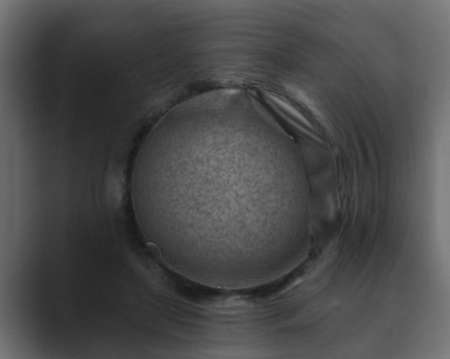 X0000089660451200706281324