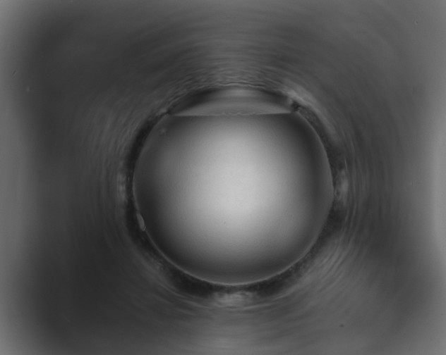 X0000089660452200706281324
