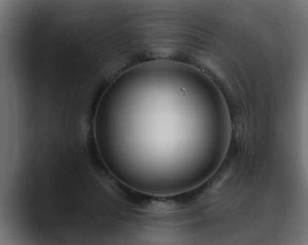 X0000089660455200706281324