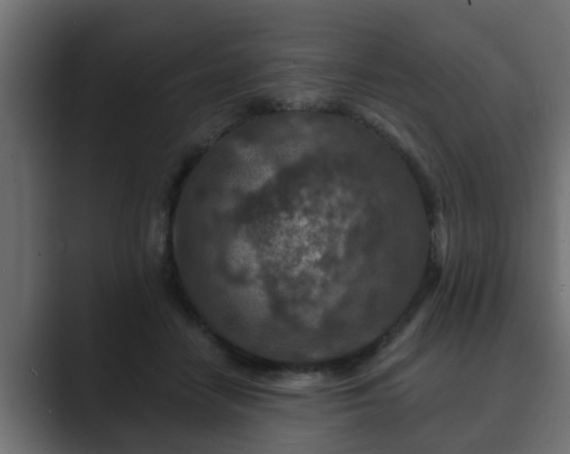 X0000089660458200706281324