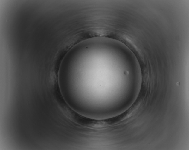 X0000089660459200706281324