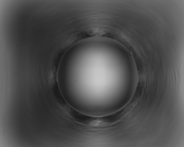 X0000089660460200706281324