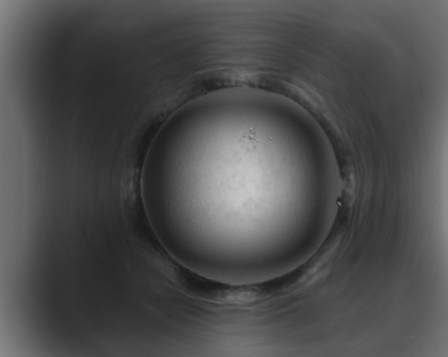X0000089660462200706281324