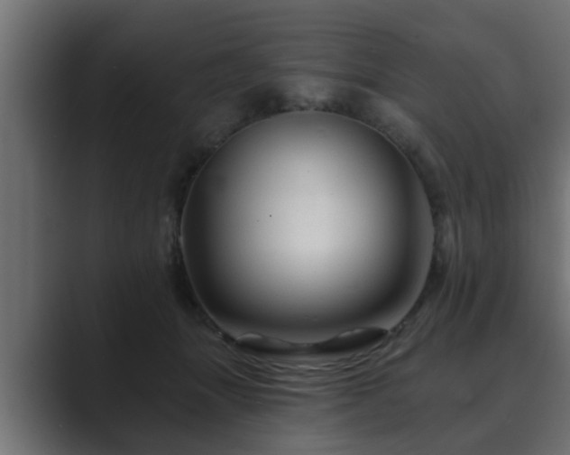 X0000089660463200706281324
