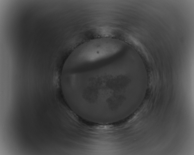 X0000089660465200706281324