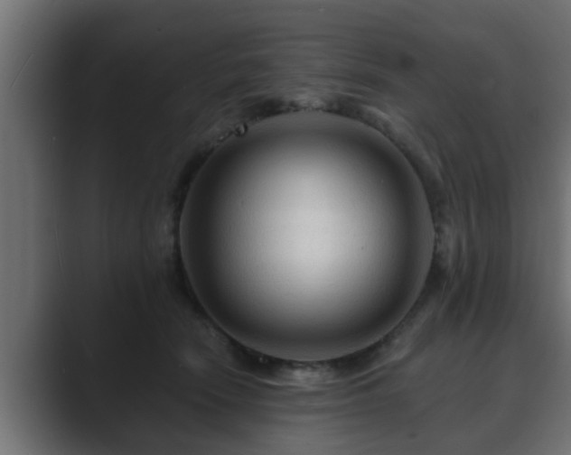 X0000089660466200706281324