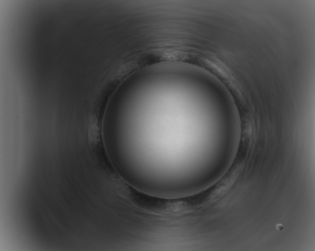 X0000089660469200706281324