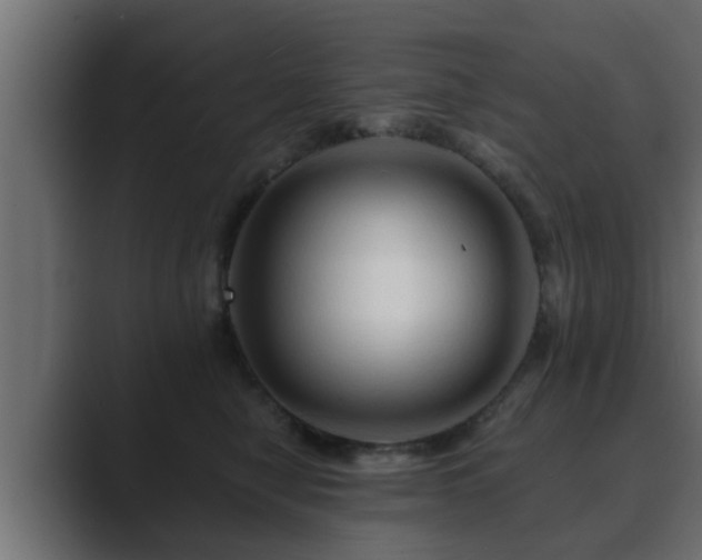 X0000089660470200706281324