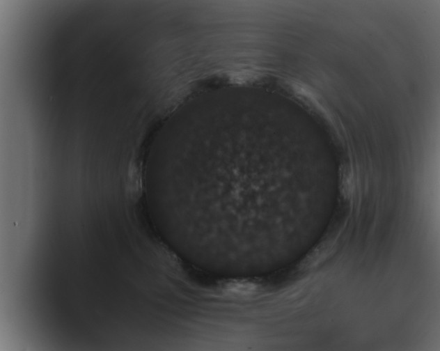 X0000089660471200706281324