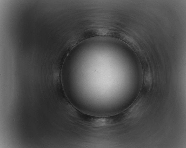 X0000089660473200706281324