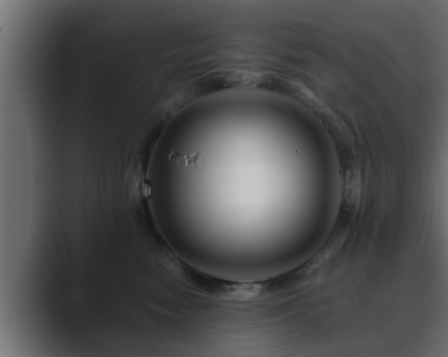 X0000089660474200706281324