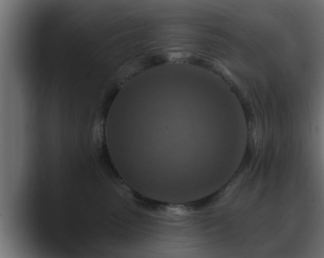 X0000089660475200706281324