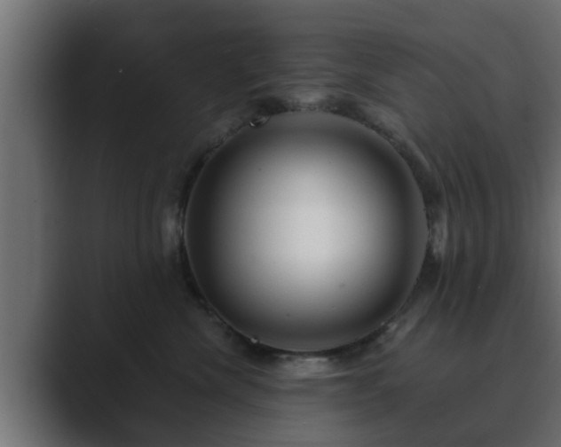 X0000089660476200706281324