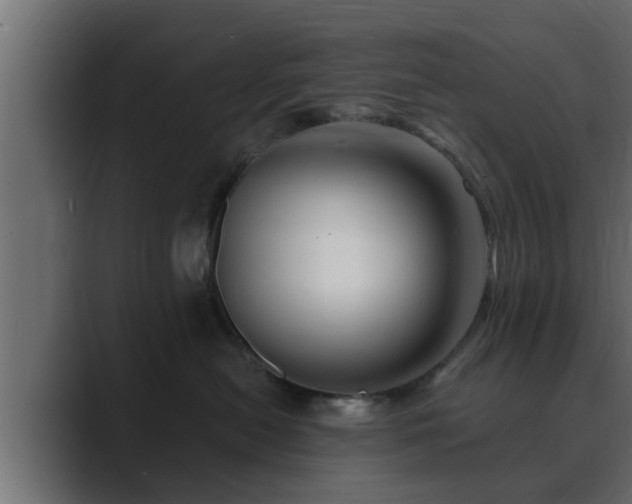 X0000089660478200706281324