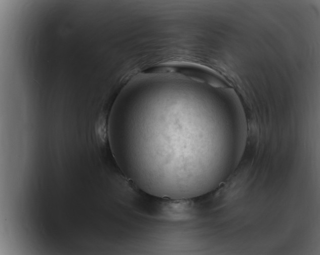 X0000089660479200706281324