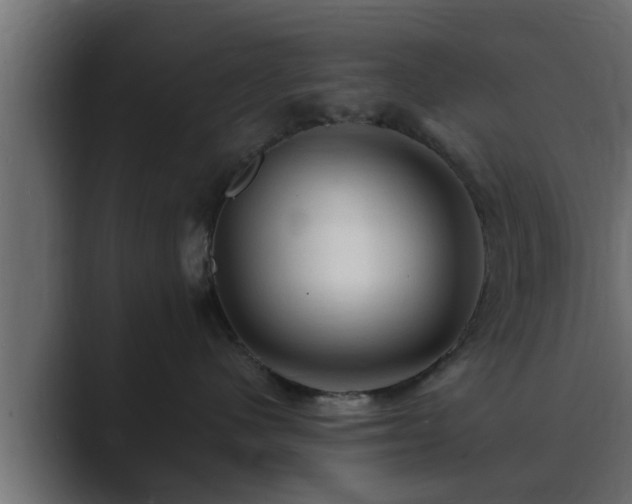 X0000089660480200706281324
