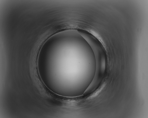 X0000089660481200706281324