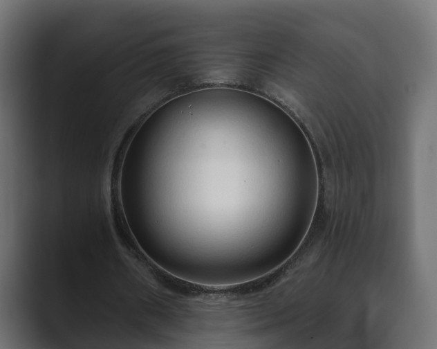 X0000089660482200706281324