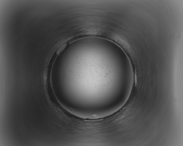 X0000089660483200706281324