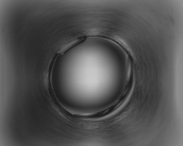 X0000089660485200706281324