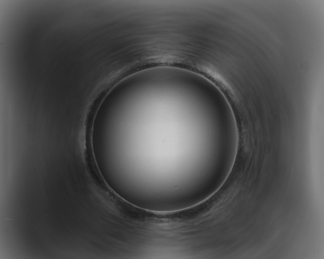 X0000089660486200706281324