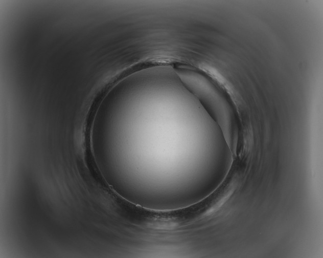X0000089660487200706281324
