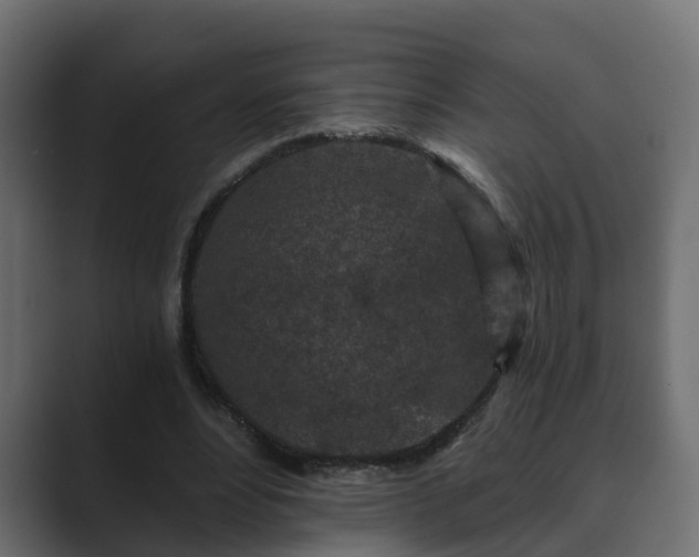 X0000089660488200706281324