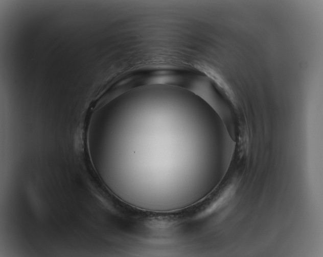 X0000089660489200706281324
