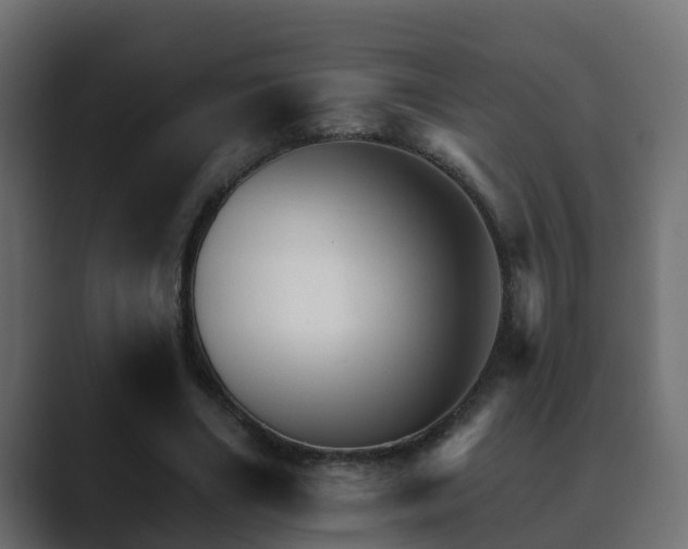 X0000089660490200706281324