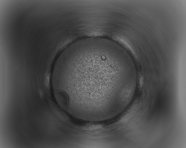 X0000089660491200706281324