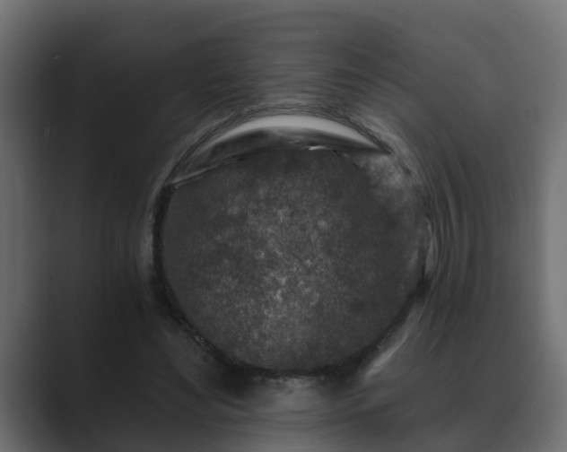 X0000089660492200706281324