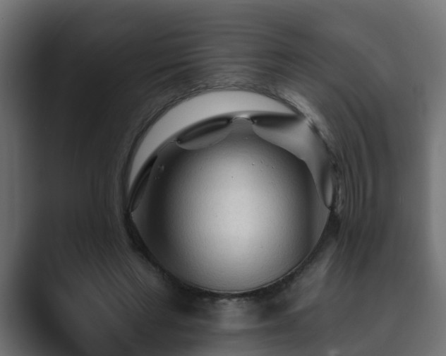 X0000089660493200706281324