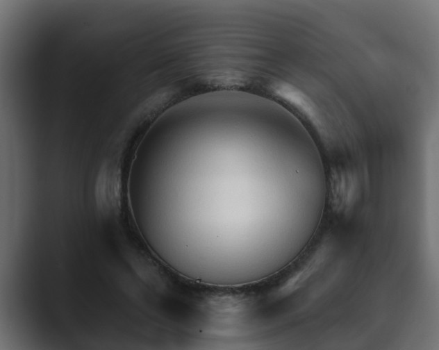 X0000089660494200706281324