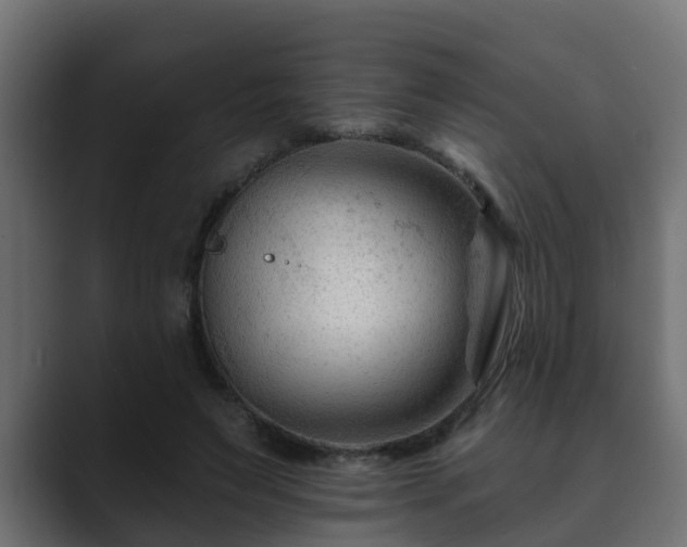 X0000089660495200706281324