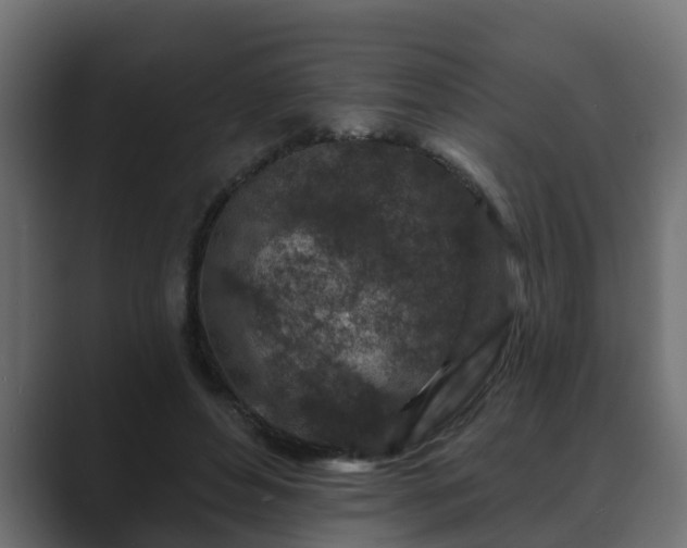 X0000089660496200706281324