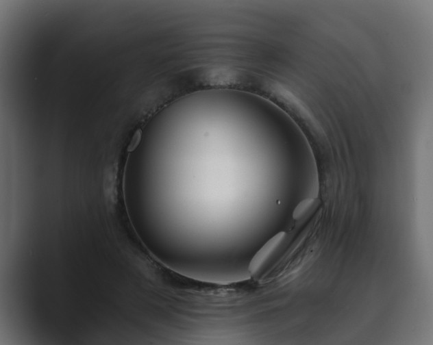 X0000089660497200706281324