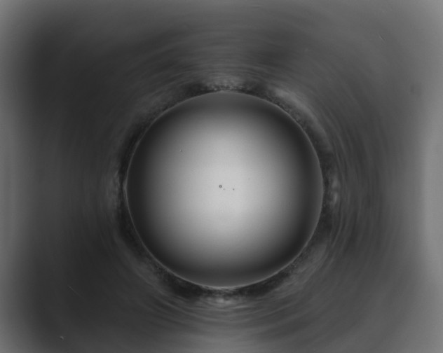 X0000089660498200706281324