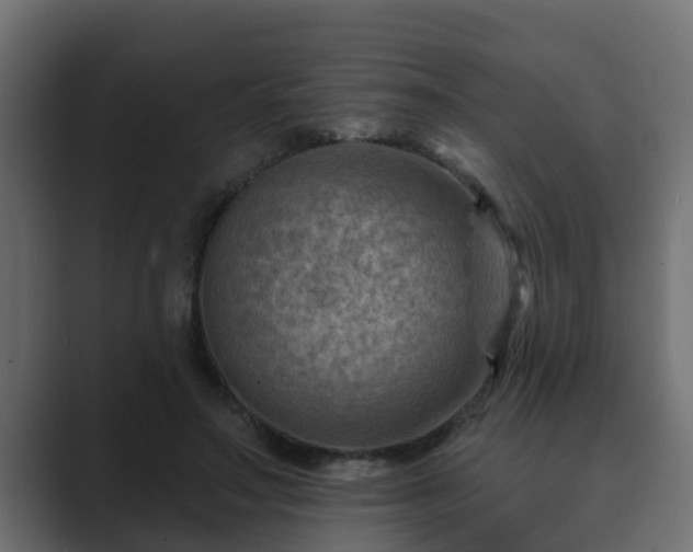 X0000089660499200706281324