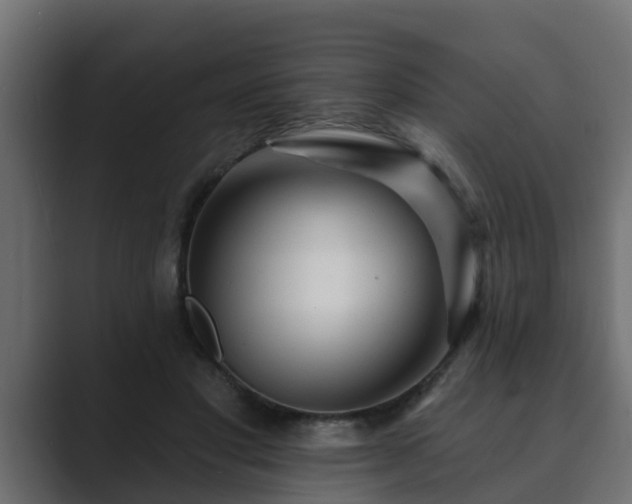 X0000089660501200706281324