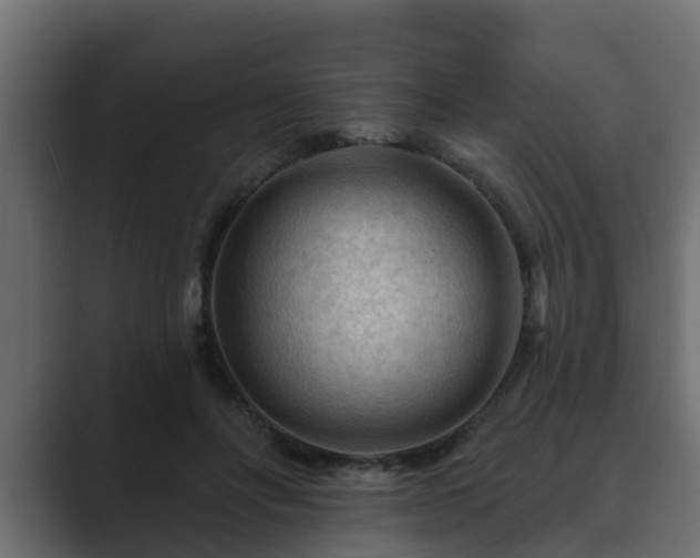 X0000089660502200706281324
