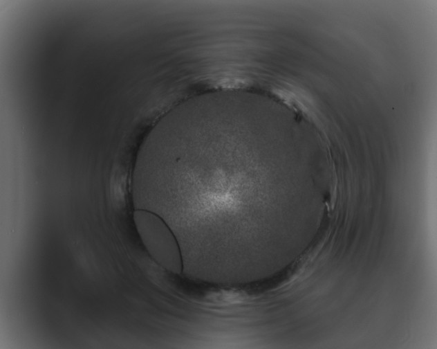 X0000089660503200706281324