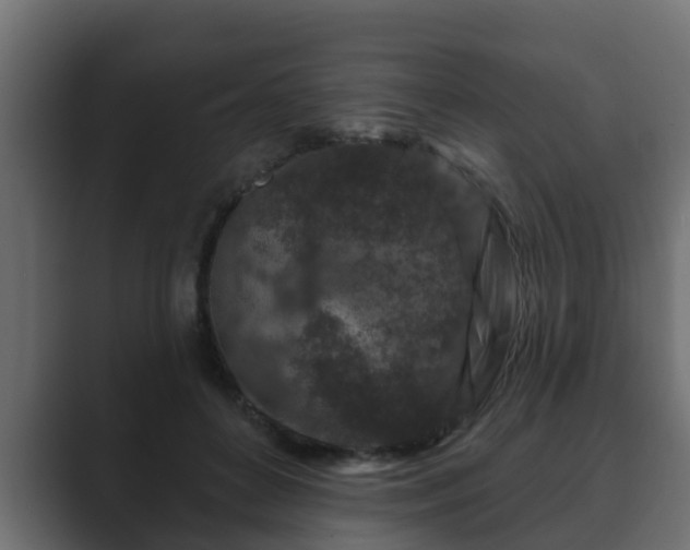 X0000089660504200706281324