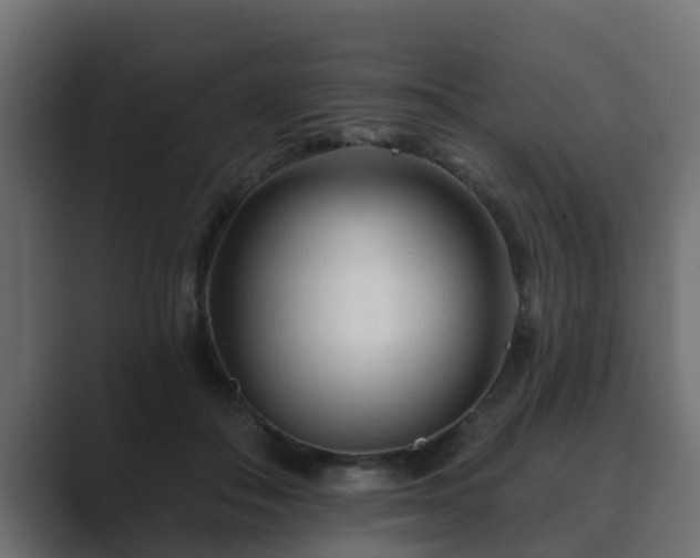 X0000089660506200706281324