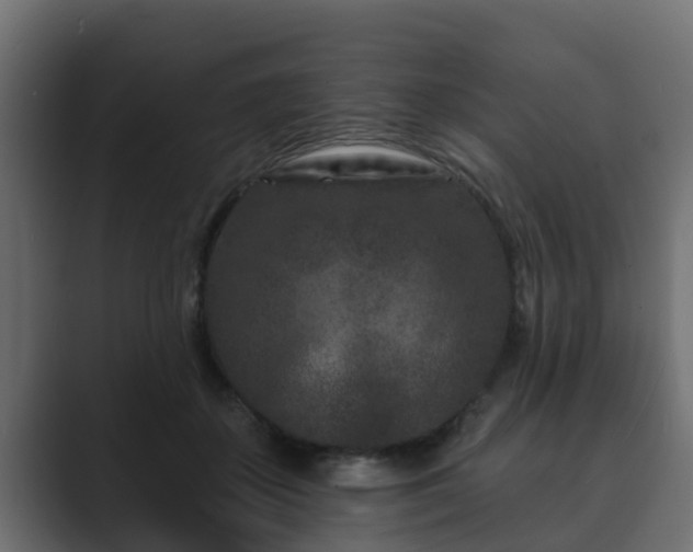 X0000089660507200706281324
