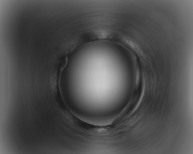 X0000089660509200706281323