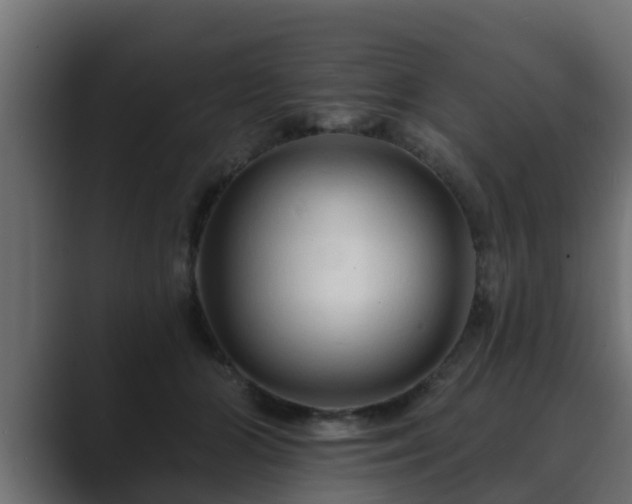 X0000089660510200706281323