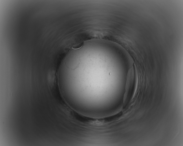 X0000089660511200706281323