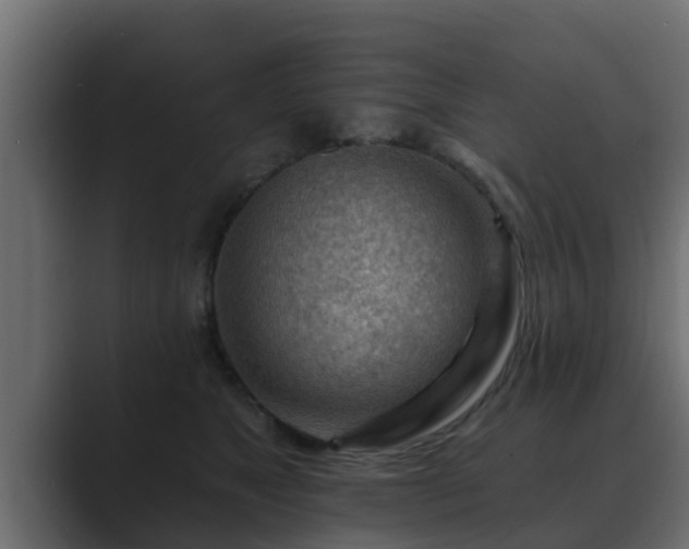 X0000089660517200706281323