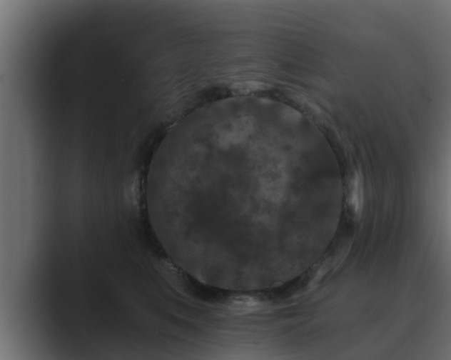 X0000089660519200706281323