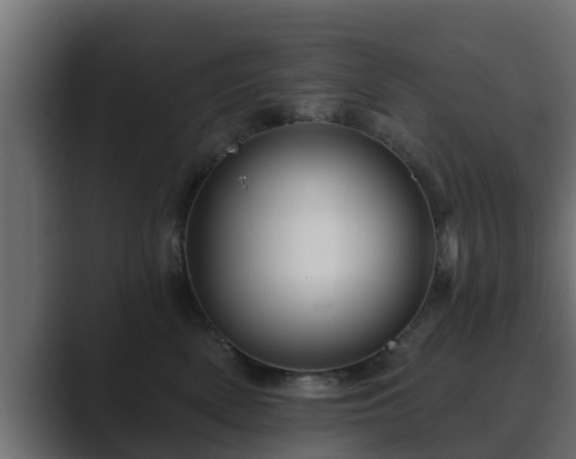 X0000089660522200706281323